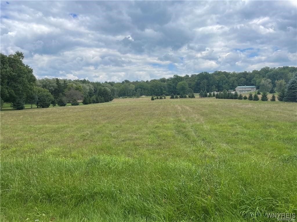 photo 0:  Grover Road, Aurora NY 14052