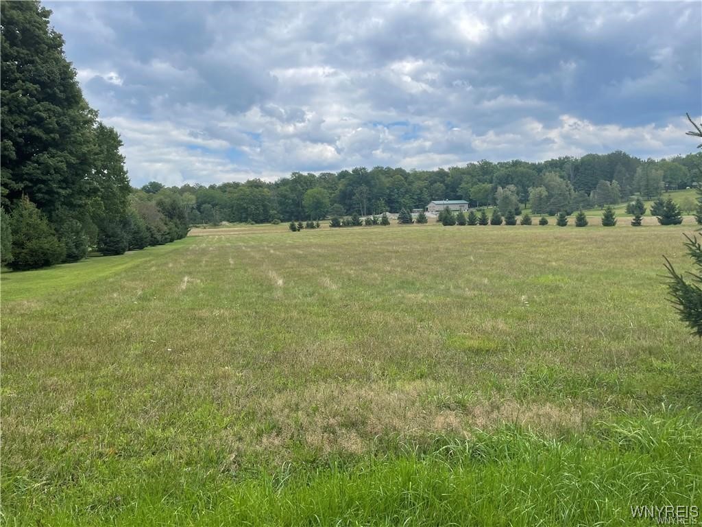 photo undefined:  Grover Road, Aurora NY 14052