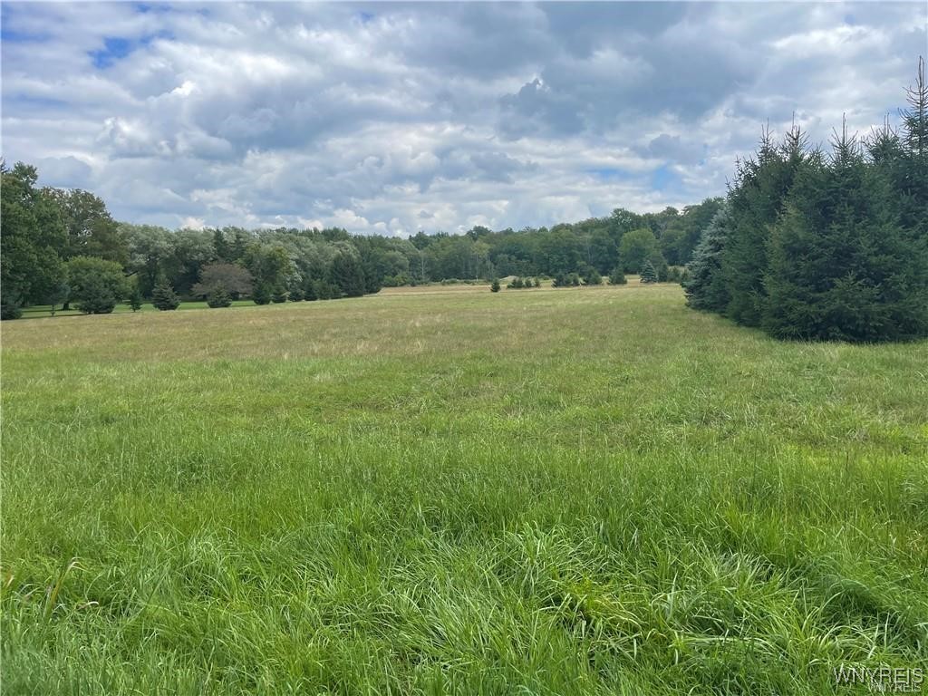 photo 2 :  Grover Road, Aurora NY 14052