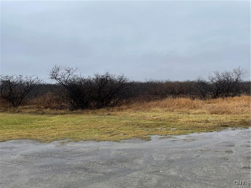 photo 4 : 22877 Nys Route 342, Pamelia NY 13601