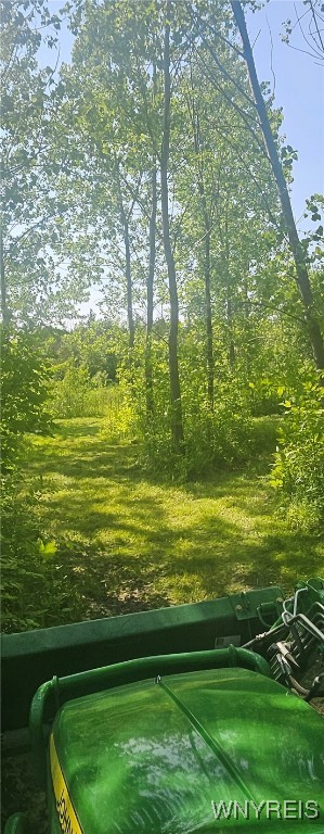 photo 2 : VL (A) Mapleton Road, Wheatfield NY 14132