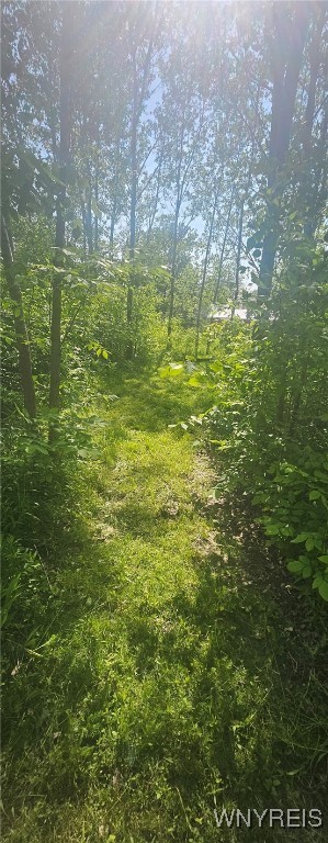 photo undefined: VL (B) Mapleton Road, Wheatfield NY 14132