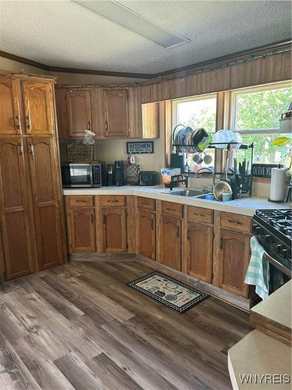 photo 3 : 1079 Northwood Drive, Evans NY 14047
