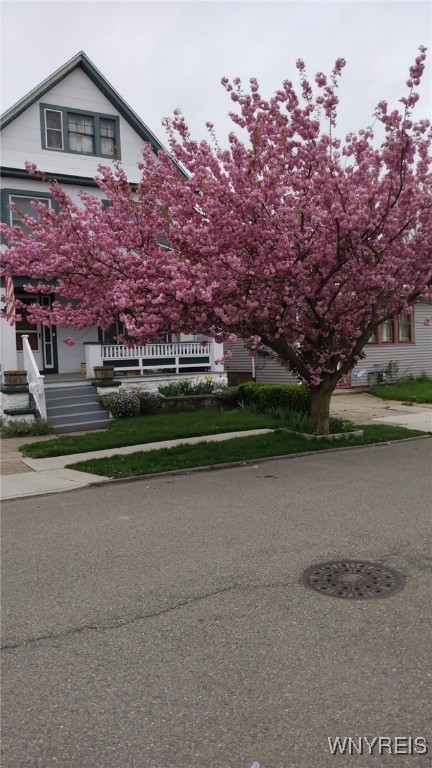 photo 3 : 45 Clio Avenue, Buffalo NY 14220