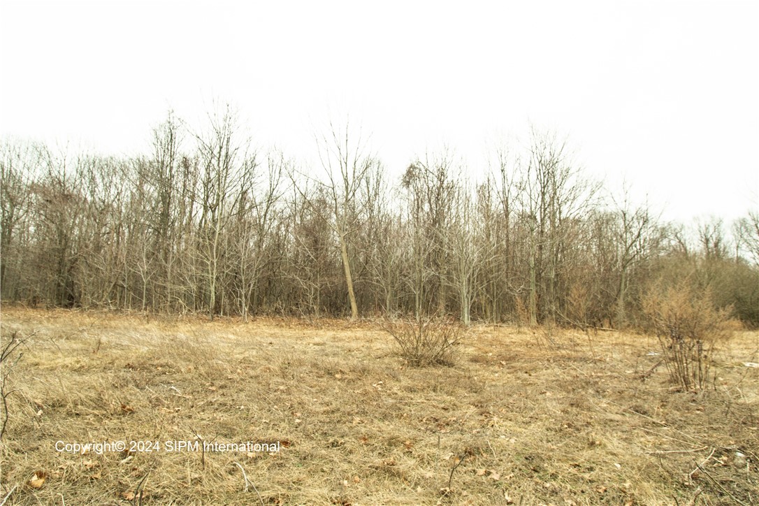 photo zLvMKWQgsXj1K: 00 Erie Rd-Route 5, Evans NY 14047