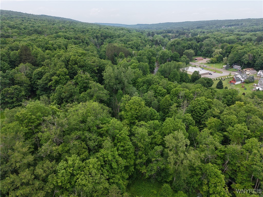 photo XmId5vRxPdqzYpqfw: 8762 Lower East Hill Road, Colden NY 14033