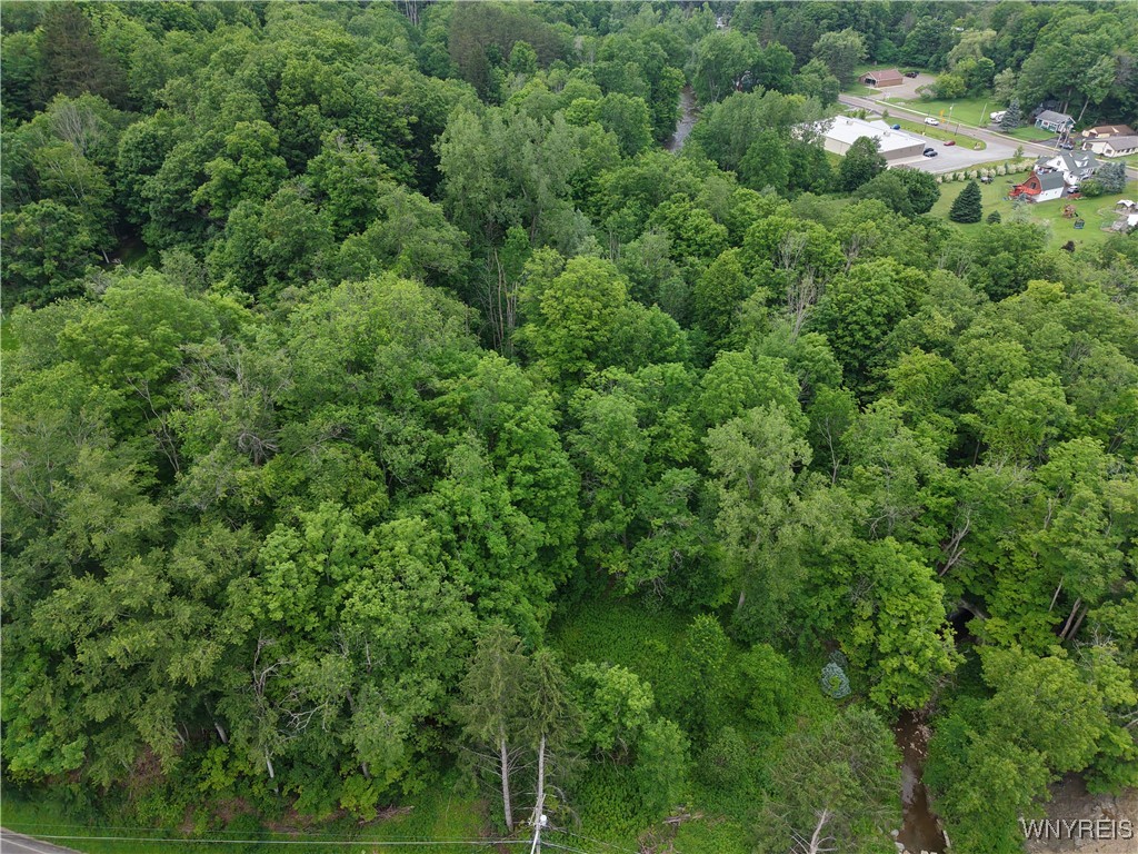 photo undefined: 8762 Lower East Hill Road, Colden NY 14033