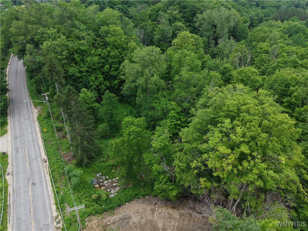 photo 3 : 8762 Lower East Hill Road, Colden NY 14033