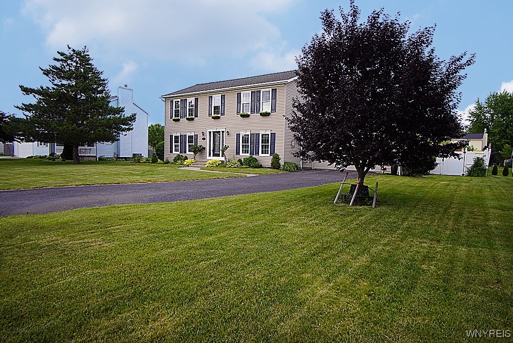 photo 4 : 7175 Lenmart Drive, Wheatfield NY 14120
