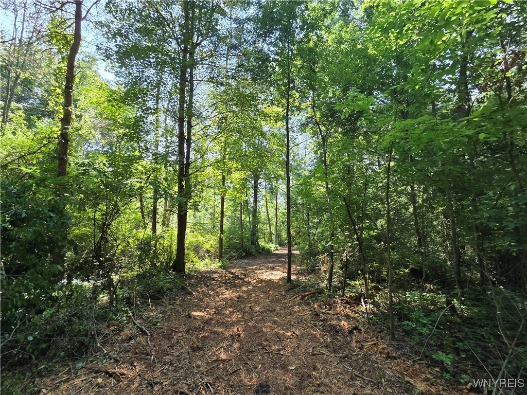 photo bZ-S0DZG-HpUg: 0 Carmen Road, Somerset NY 14012