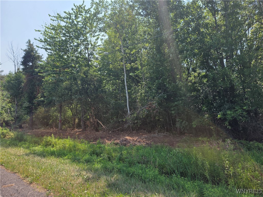 photo Py74Zsvc2ppvUPCBKYvScltRrSf4U: 0 Carmen Road, Somerset NY 14012