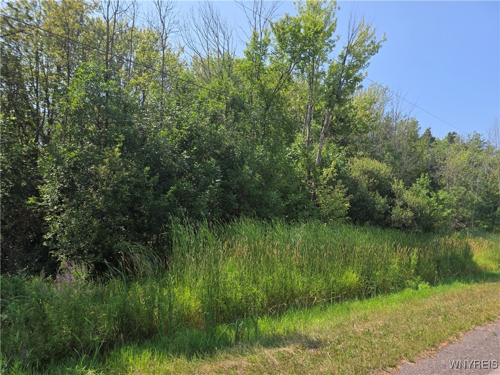 photo 2 : 0 Carmen Road, Somerset NY 14012