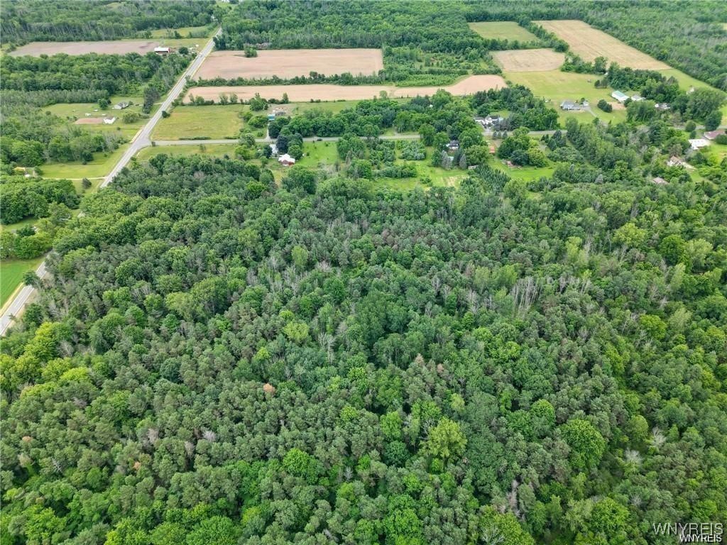 photo 4 : 0 Carmen Road, Somerset NY 14012