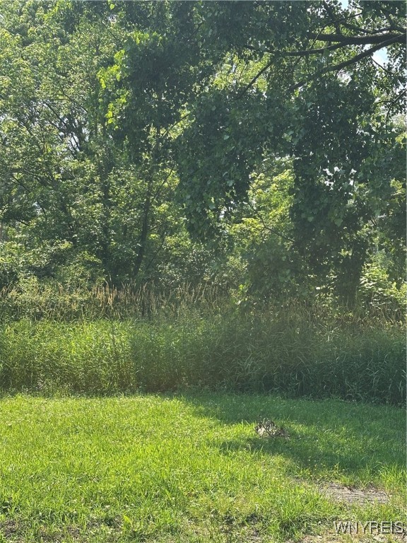 photo undefined:  Seneca Creek Road, West Seneca NY 14224