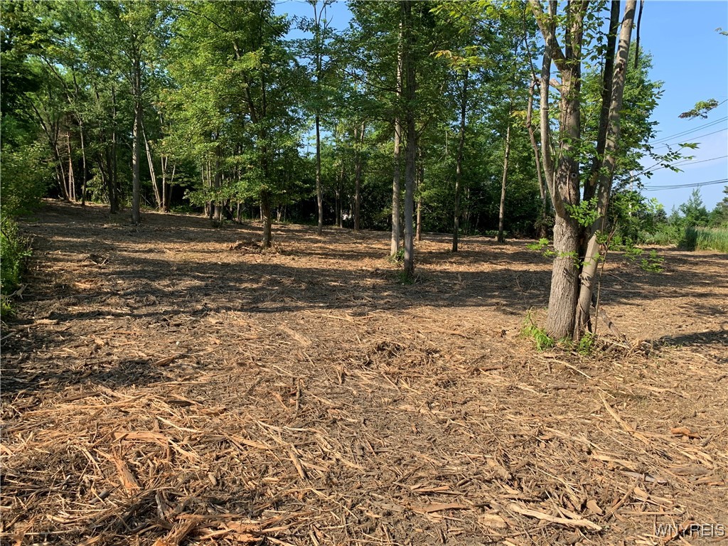 photo 0: 8393 Southwestern Boulevard, Evans NY 14006