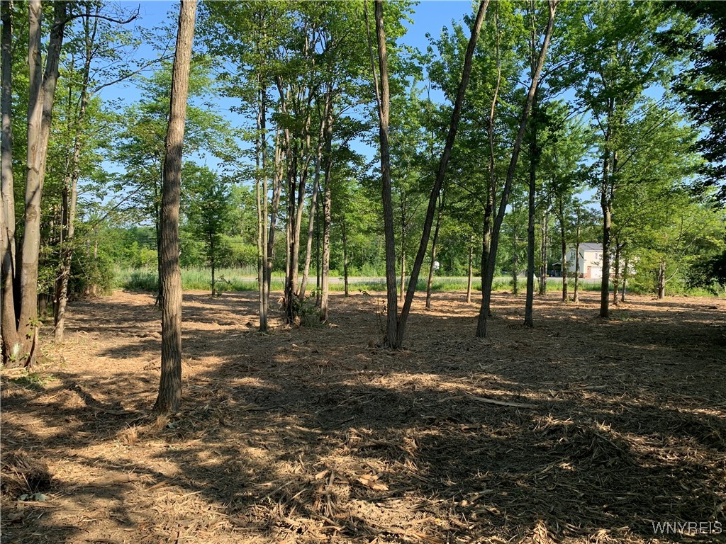 photo VrNK: 8393 Southwestern Boulevard, Evans NY 14006