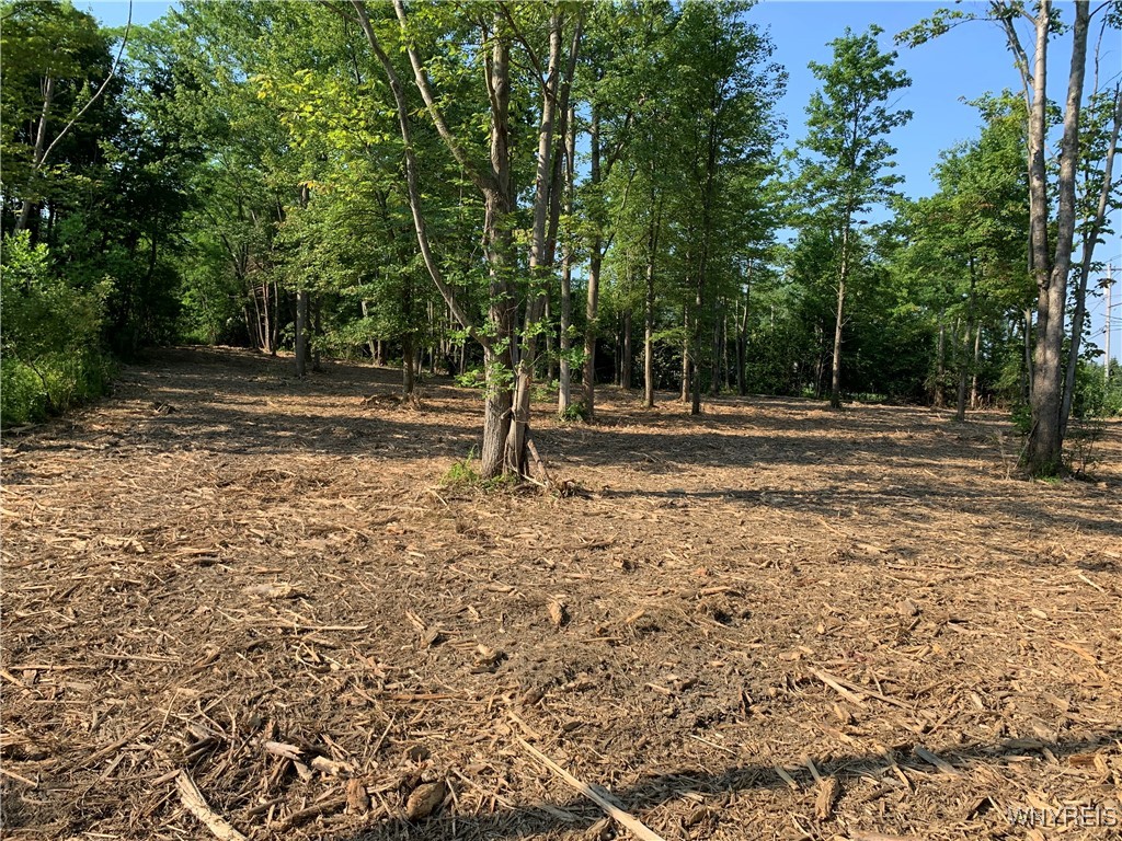 photo 2 : 8393 Southwestern Boulevard, Evans NY 14006