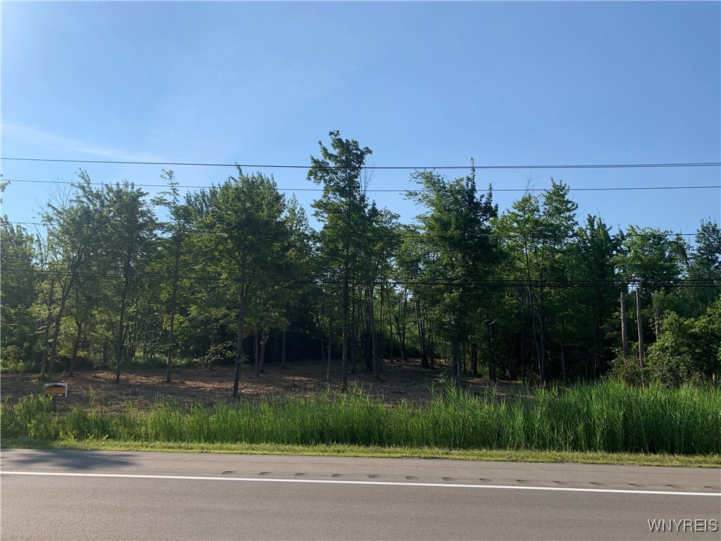 photo 4 : 8393 Southwestern Boulevard, Evans NY 14006