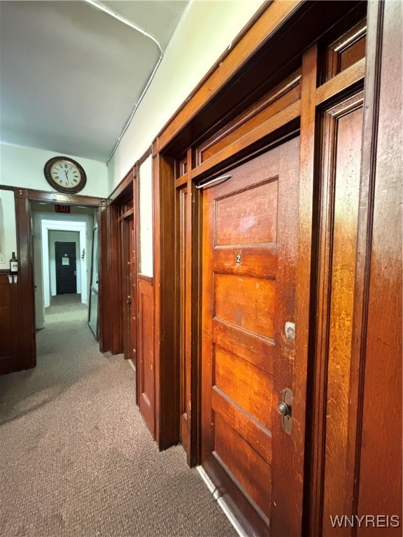 photo 2 : 333 Elmwood Avenue, Buffalo NY 14222