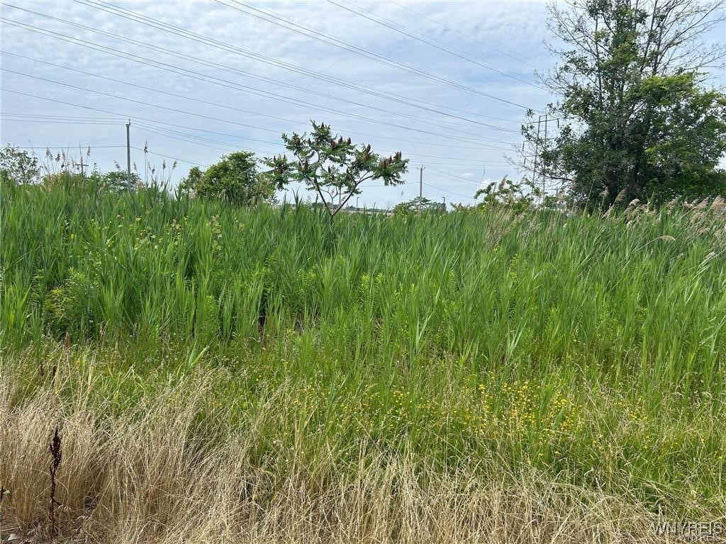 photo 4 : 0 Williams Road West, Wheatfield NY 14304