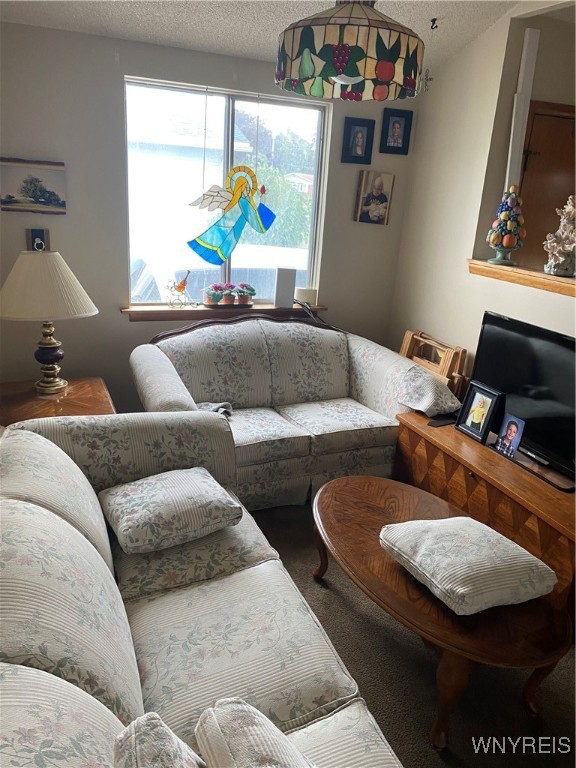 photo 3 : 14 Princess Lane, West Seneca NY 14224