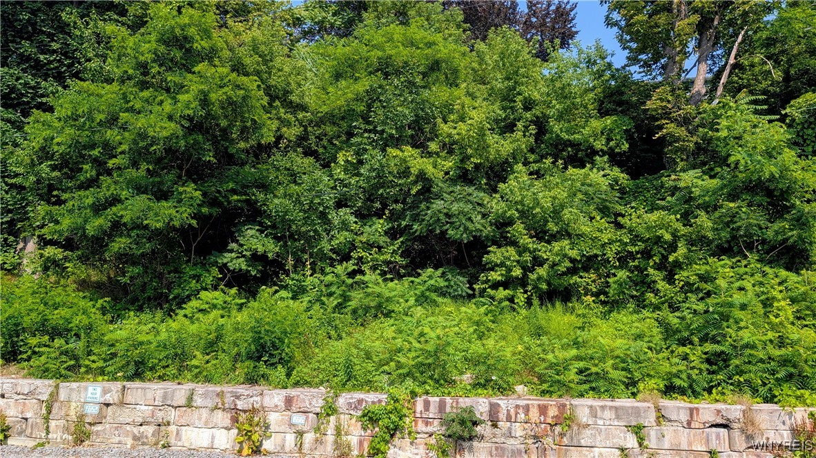 photo undefined:  Water Street, Porter NY 14174