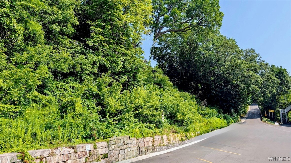 photo :  Water Street, Porter NY 14174