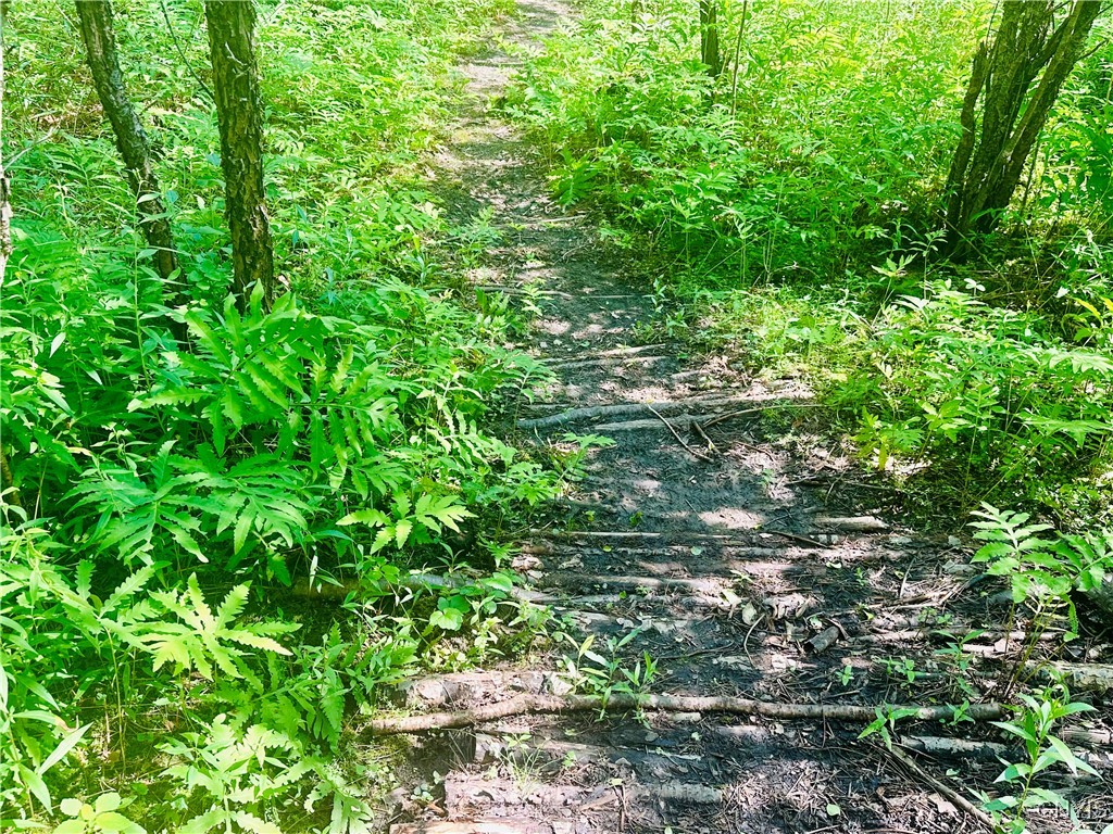 photo 4 : 20207 Reasoner Road, Brownville NY 13601