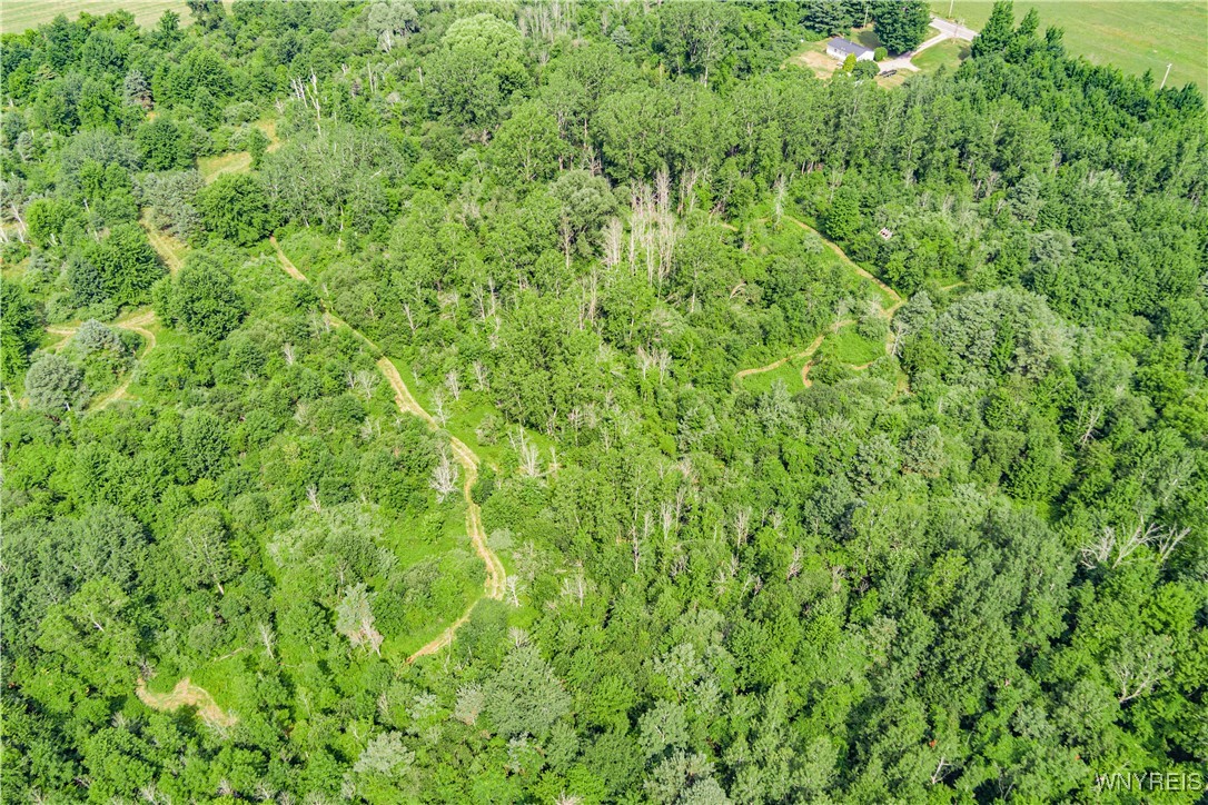 photo 1 : V/L Coleman Road, Somerset NY 14012