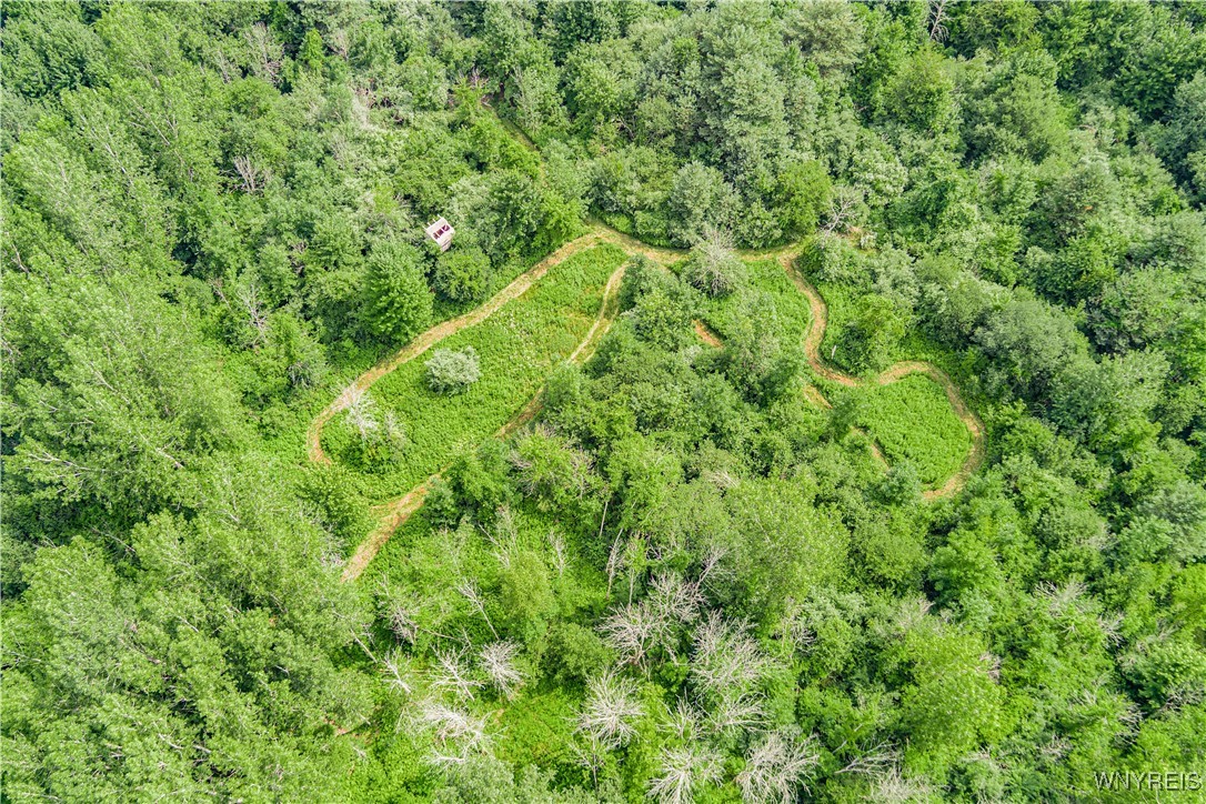 photo : V/L Coleman Road, Somerset NY 14012