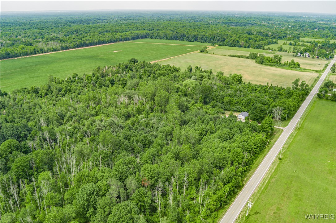 photo 4 : V/L Coleman Road, Somerset NY 14012