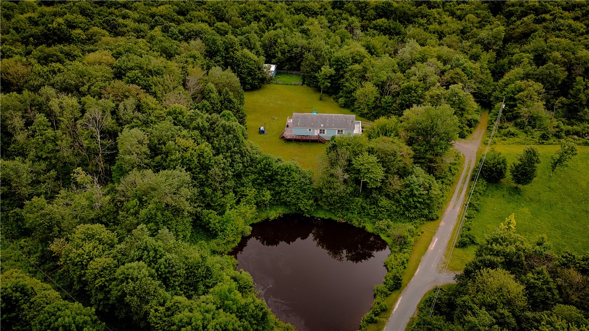 photo UPaLEw: 560 Spring Brook Estates Road, Colchester NY 12776
