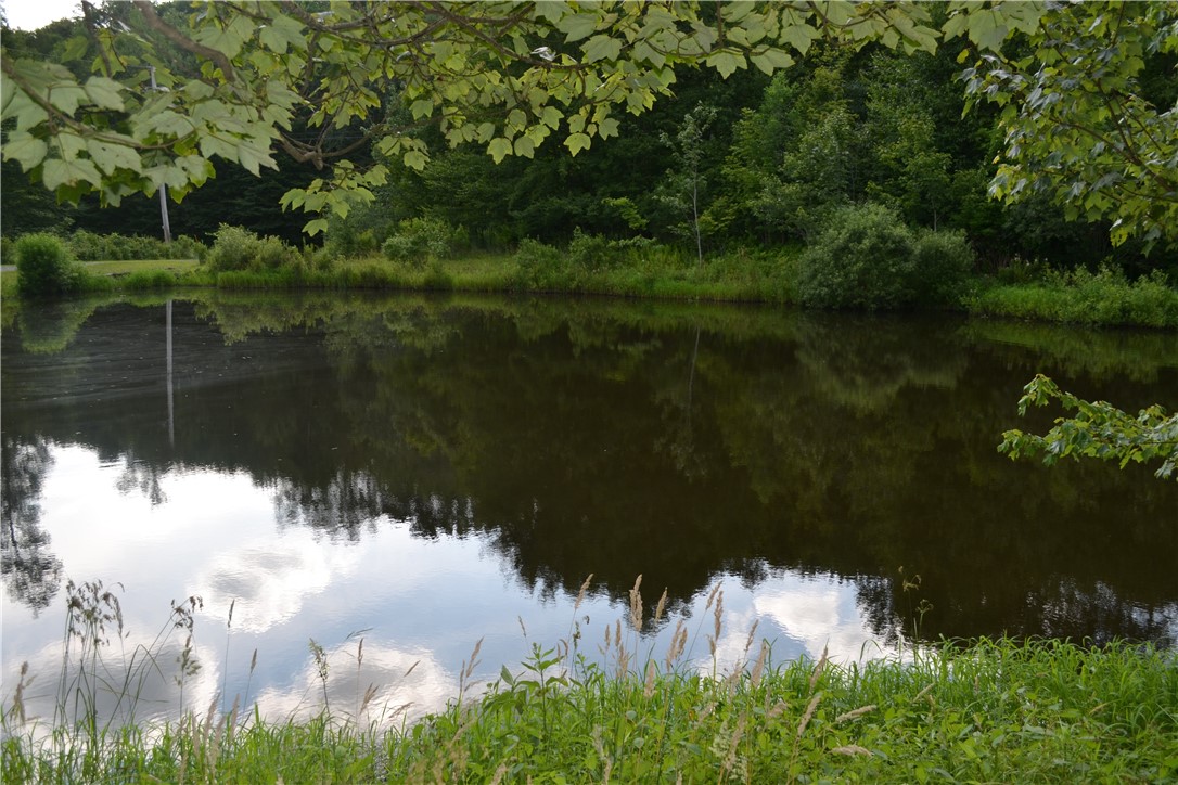 photo 3 : 560 Spring Brook Estates Road, Colchester NY 12776