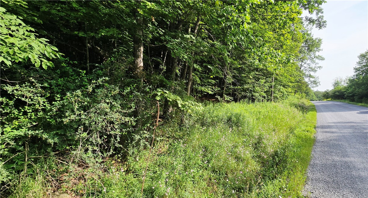 photo undefined:  Cr-29, Harpersfield NY 12093
