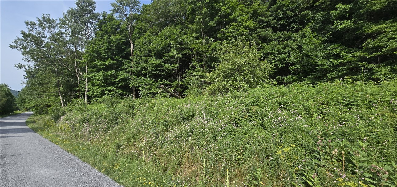 photo 2 :  Cr-29, Harpersfield NY 12093