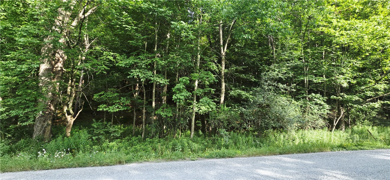 photo 3 :  Cr-29, Harpersfield NY 12093