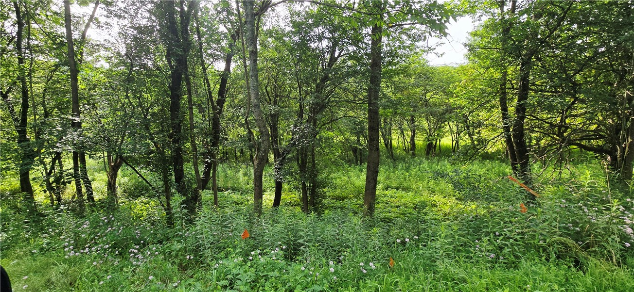 photo 4 :  Cr-29, Harpersfield NY 12093