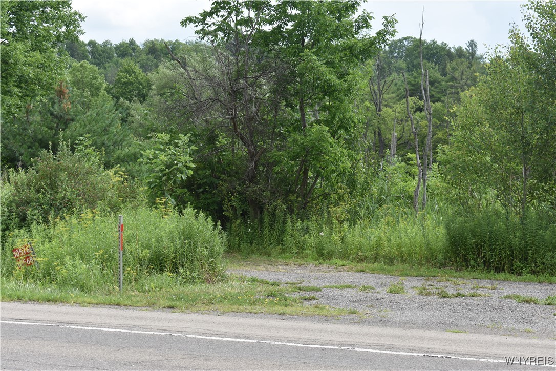 photo 0: 10568 Rt-16, Yorkshire NY 14030