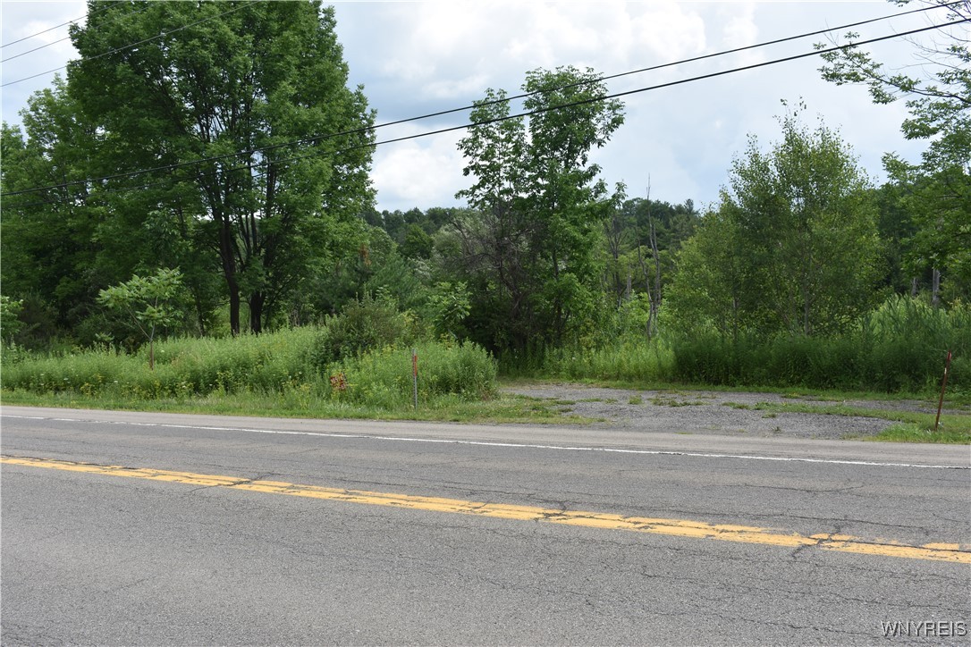 photo 1--: 10568 Rt-16, Yorkshire NY 14030