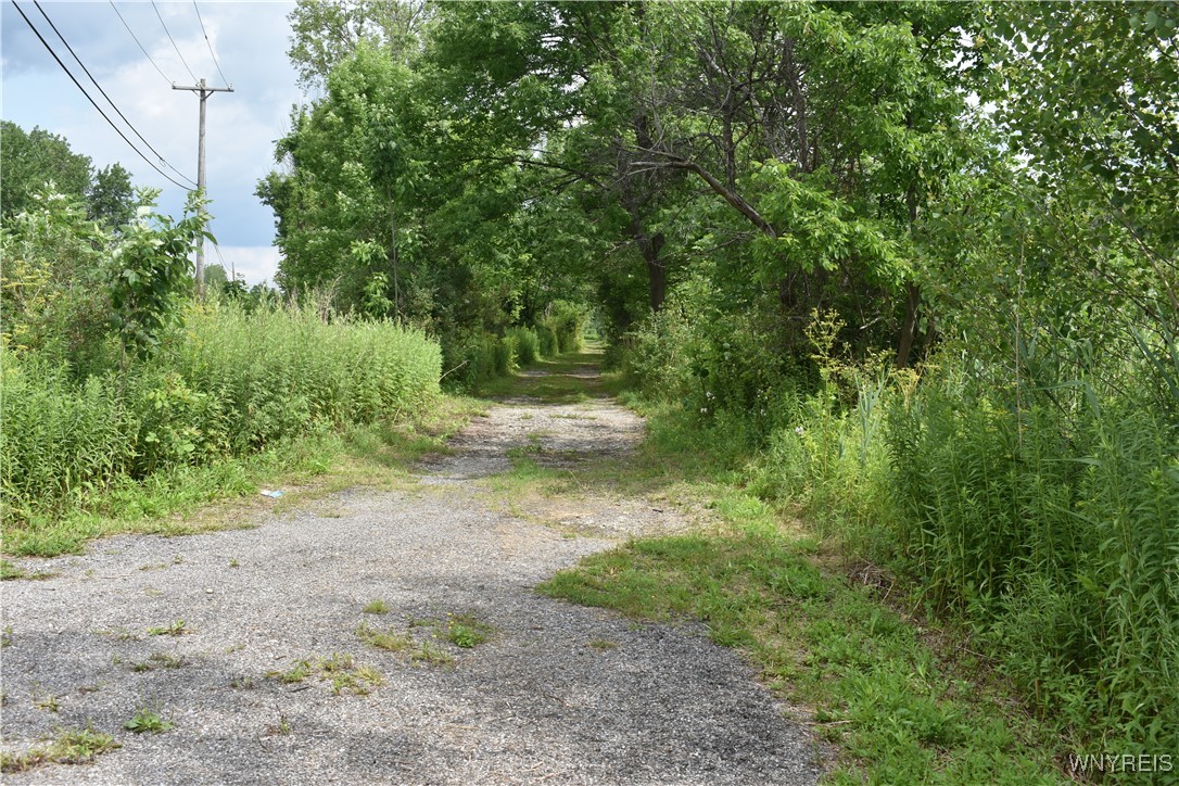 photo 4 : 10568 Rt-16, Yorkshire NY 14030