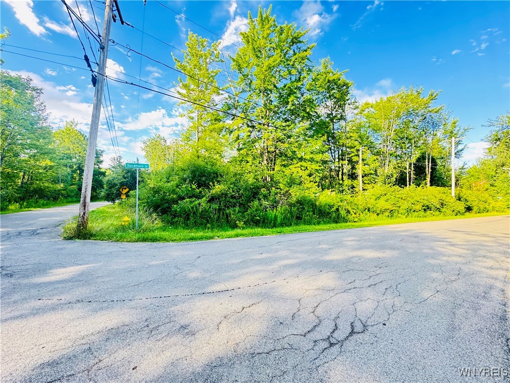 photo undefined: 0 Sycamore Street, Evans NY 14006
