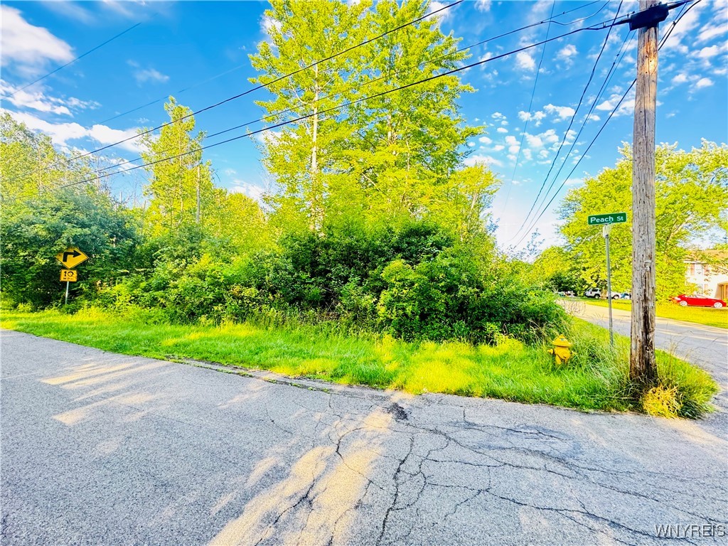 photo 1 : 0 Sycamore Street, Evans NY 14006