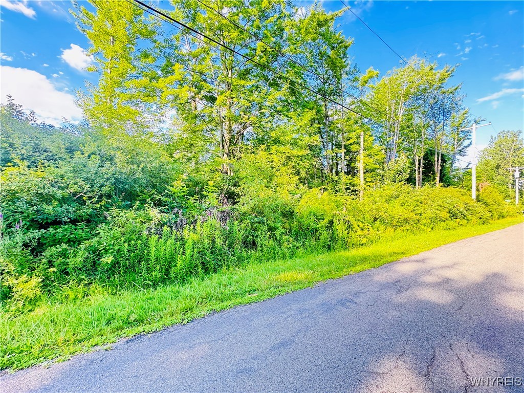 photo 2 : 0 Sycamore Street, Evans NY 14006