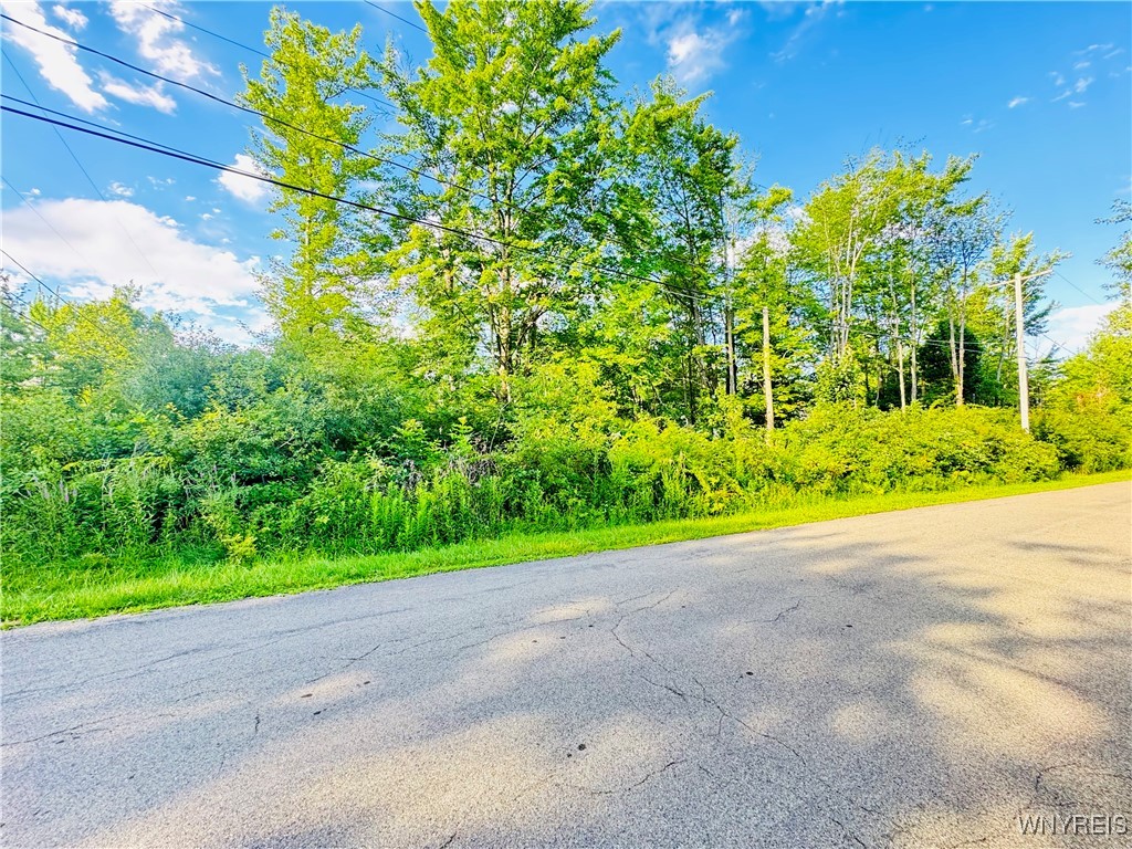 photo 3 : 0 Sycamore Street, Evans NY 14006