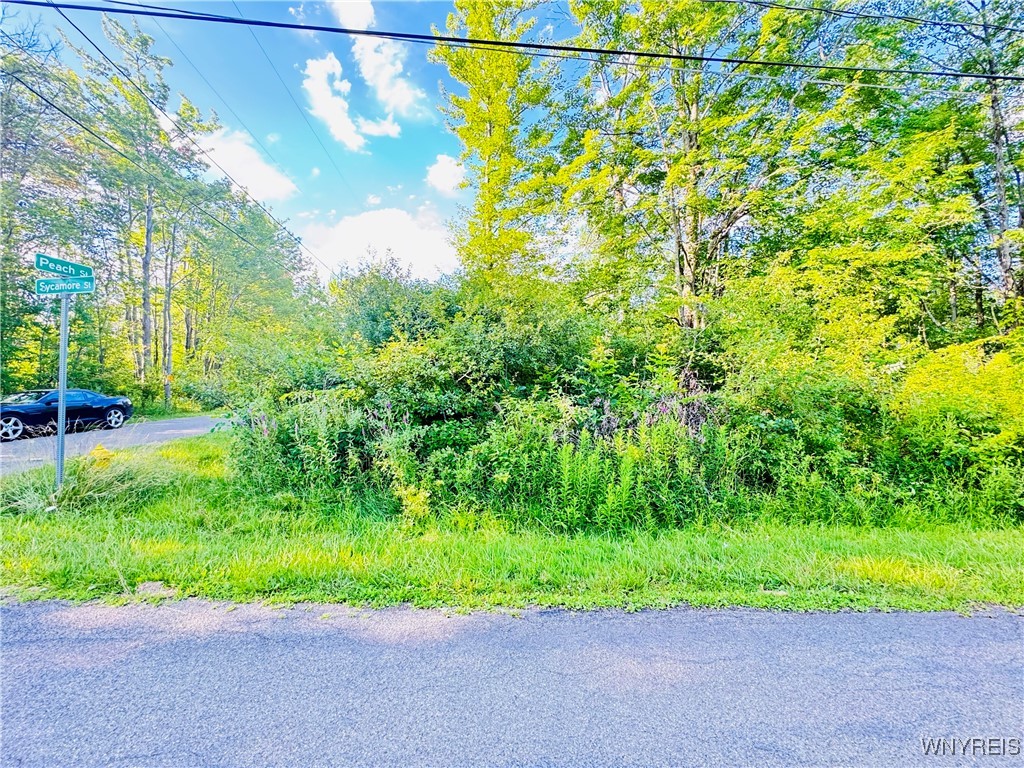 photo 4 : 0 Sycamore Street, Evans NY 14006