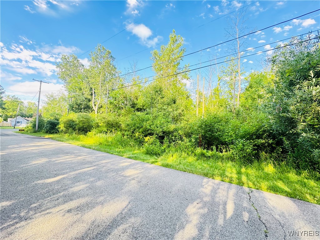 photo 1YJ4ox6lqk55cT7MxNk8JB: 0 Sycamore Street, Evans NY 14006