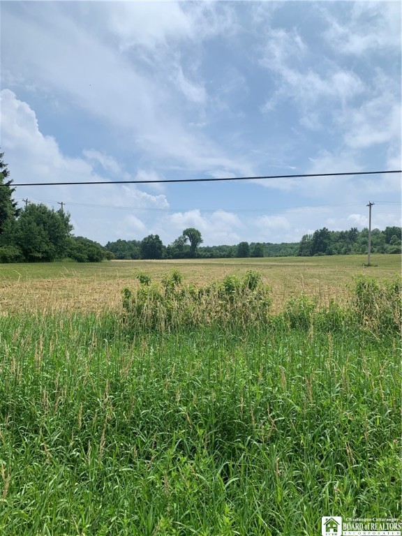 photo 2 : 5113 Maple Springs Ellery Rd Road, Ellery NY 14712