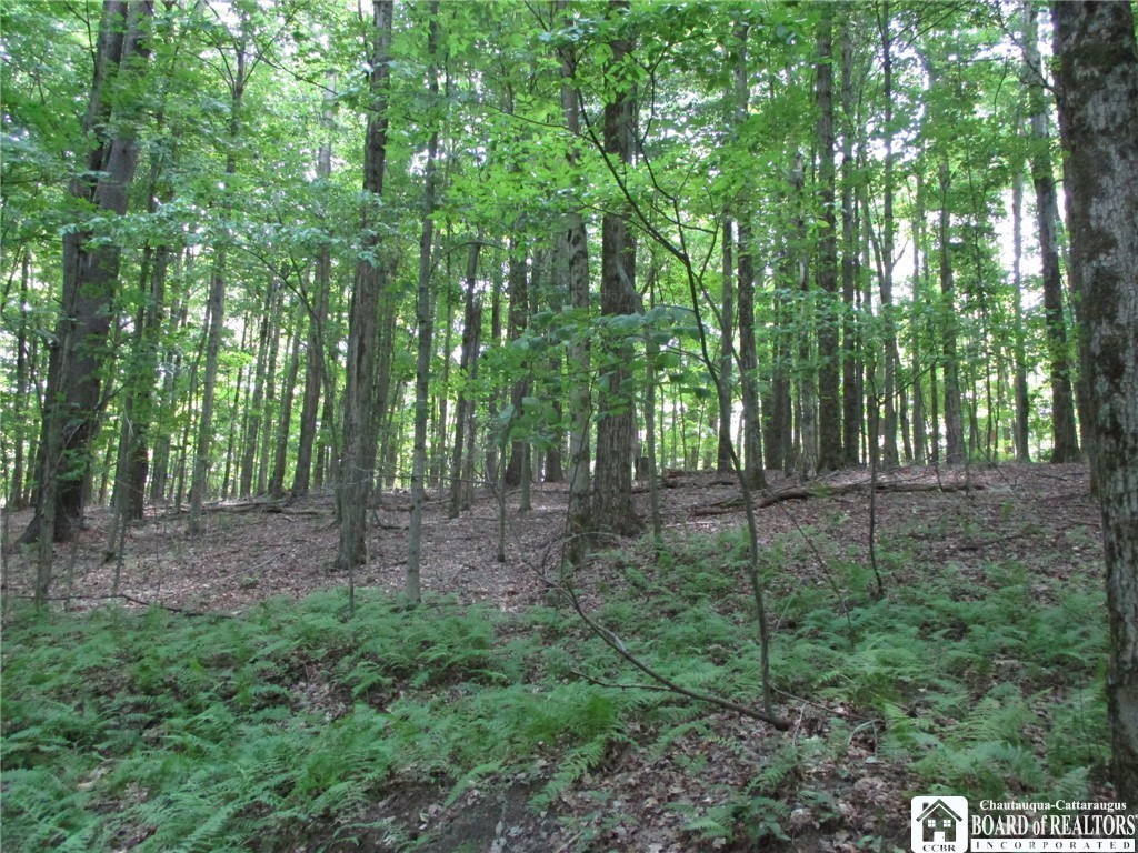 photo undefined:  Snowball Hollow Road, Scio NY 14880