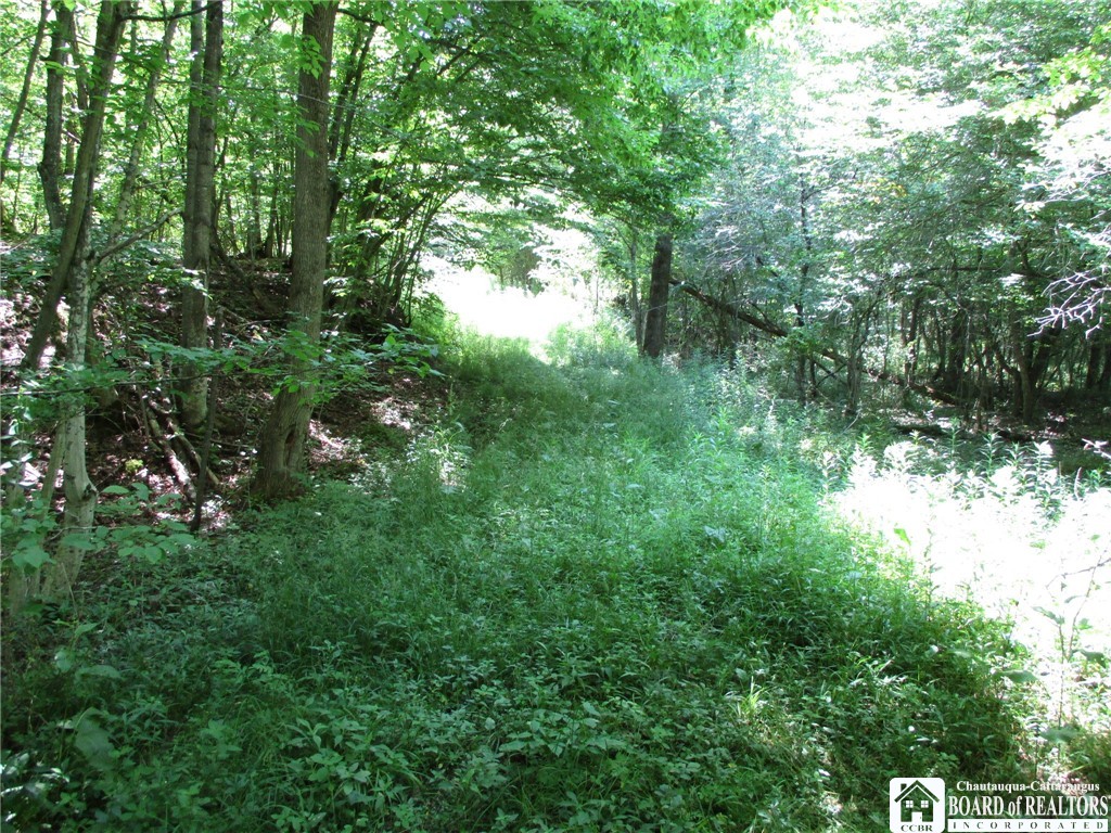 photo undefined:  Snowball Hollow Road, Scio NY 14880
