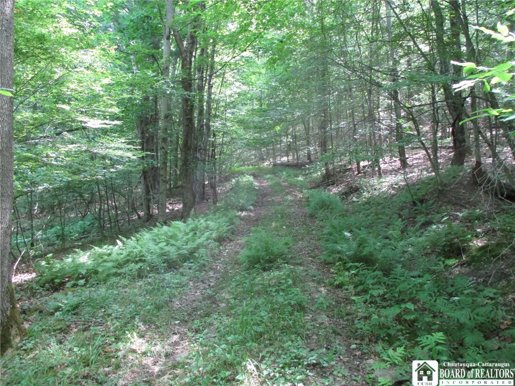 photo undefined:  Snowball Hollow Road, Scio NY 14880